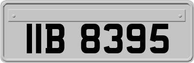 IIB8395