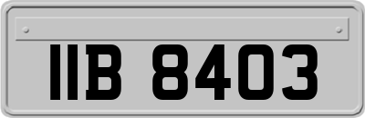 IIB8403