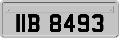 IIB8493