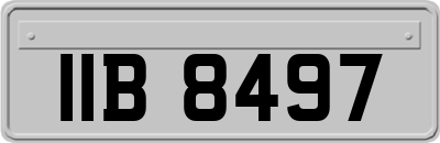 IIB8497