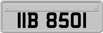 IIB8501