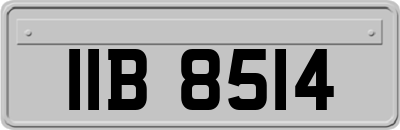 IIB8514