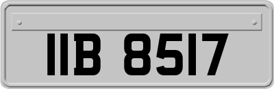 IIB8517