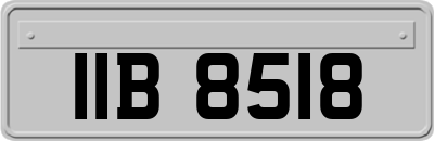 IIB8518