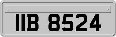 IIB8524