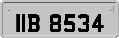 IIB8534