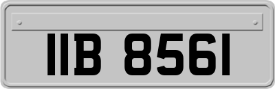 IIB8561