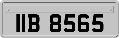 IIB8565