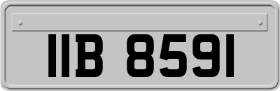 IIB8591