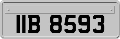 IIB8593