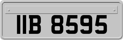 IIB8595