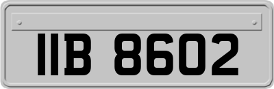 IIB8602