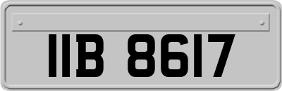 IIB8617
