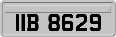 IIB8629