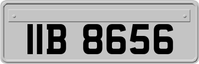IIB8656