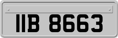 IIB8663