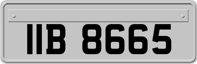 IIB8665