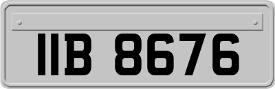 IIB8676