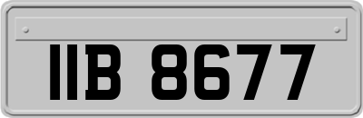 IIB8677