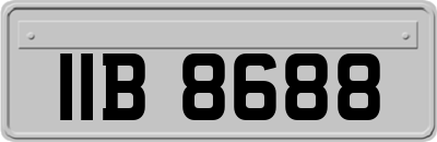 IIB8688