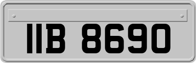 IIB8690