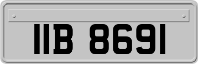 IIB8691