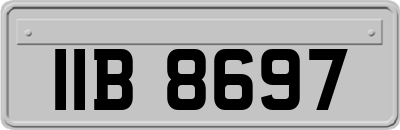 IIB8697