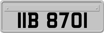 IIB8701