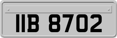 IIB8702