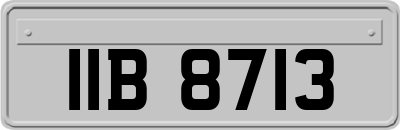 IIB8713