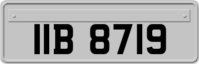 IIB8719