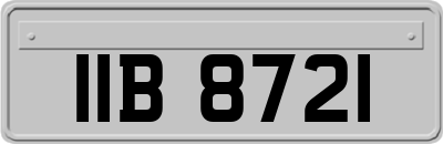 IIB8721
