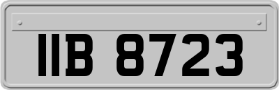 IIB8723