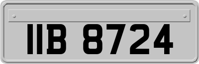 IIB8724