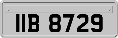 IIB8729