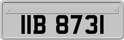 IIB8731