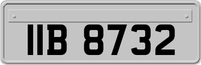 IIB8732