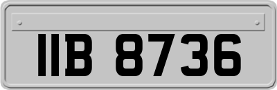 IIB8736