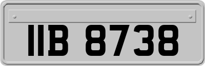 IIB8738
