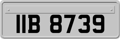 IIB8739