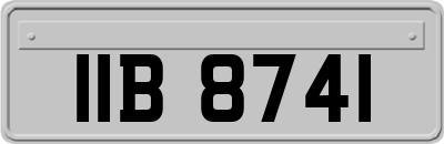 IIB8741