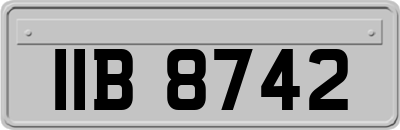 IIB8742
