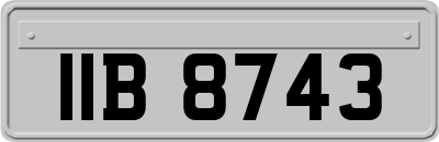 IIB8743