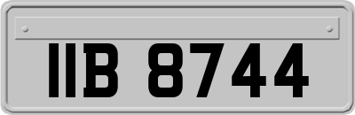IIB8744