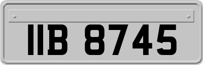 IIB8745