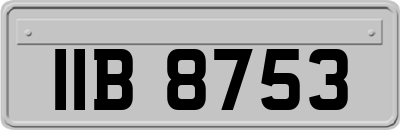 IIB8753