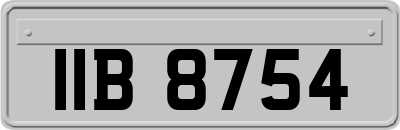 IIB8754