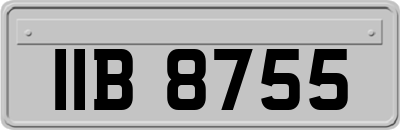 IIB8755