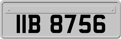 IIB8756