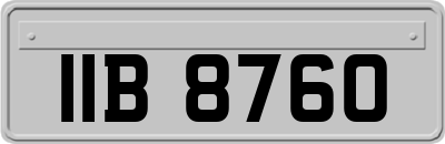 IIB8760